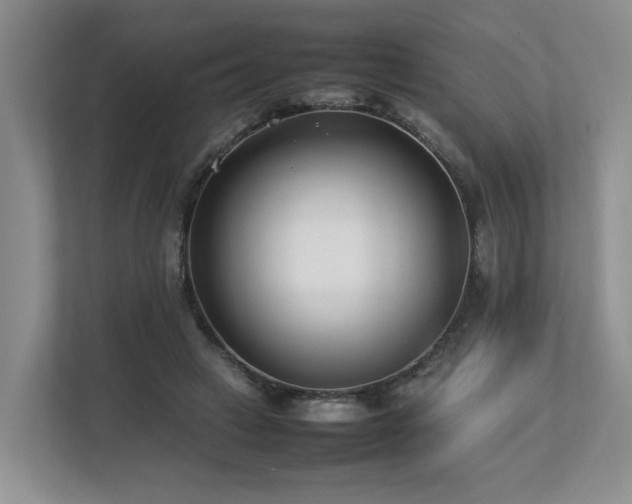 X0000112790449200908211117