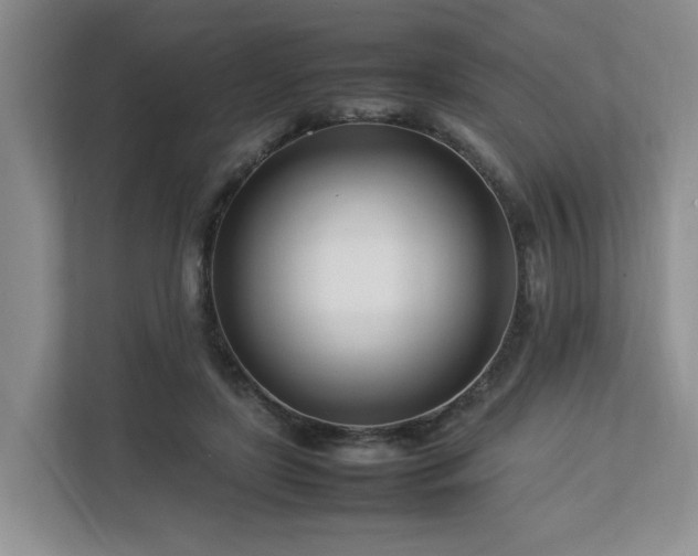 X0000112790451200908211117