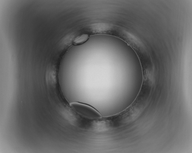 X0000112790452200908211117