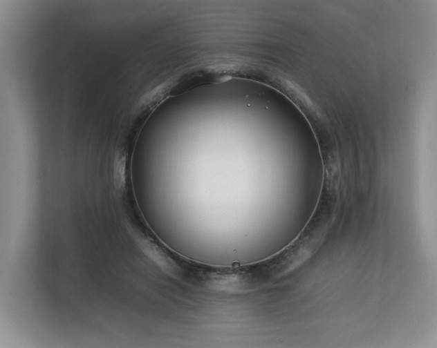 X0000112790454200908211117