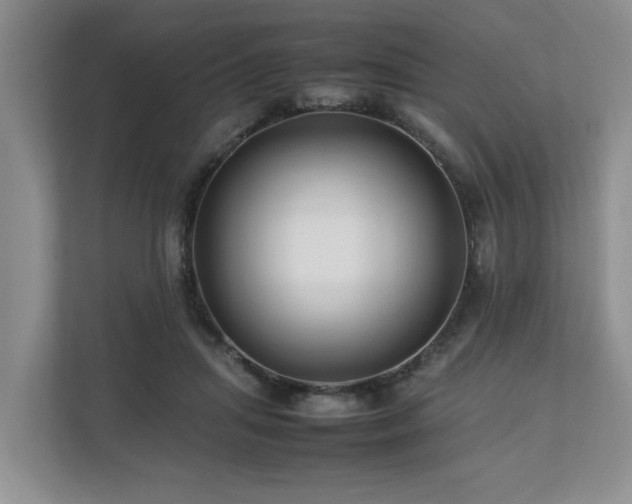 X0000112790455200908211117