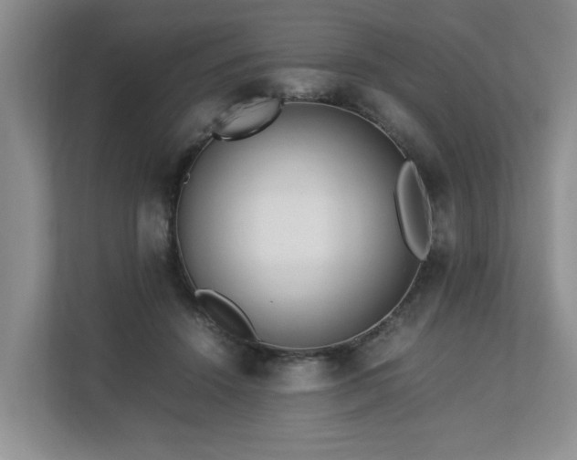 X0000112790456200908211117