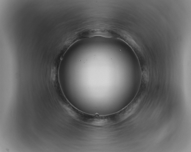 X0000112790458200908211117