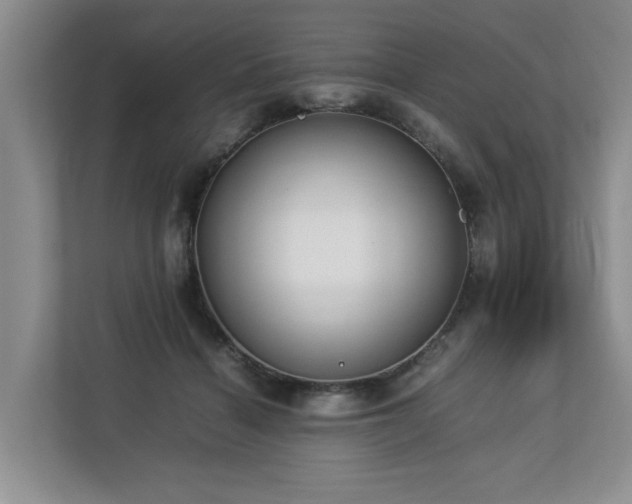 X0000112790460200908211117