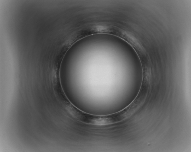 X0000112790461200908211117