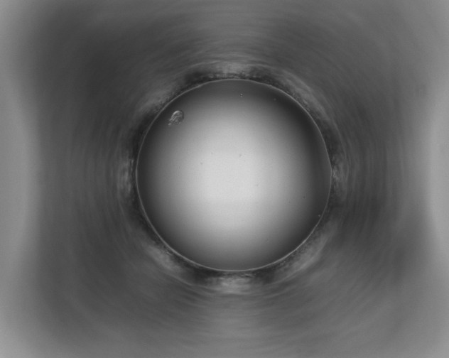 X0000112790462200908211117