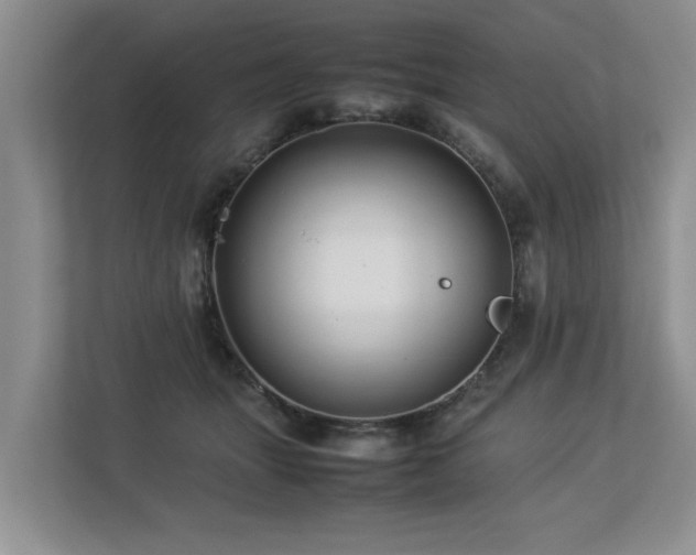 X0000112790463200908211117