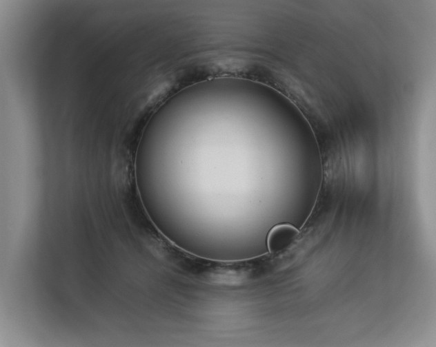 X0000112790464200908211117