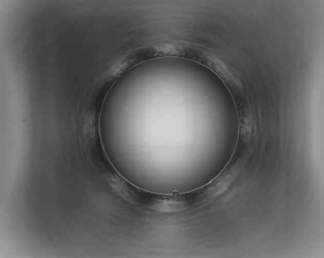 X0000112790466200908211117