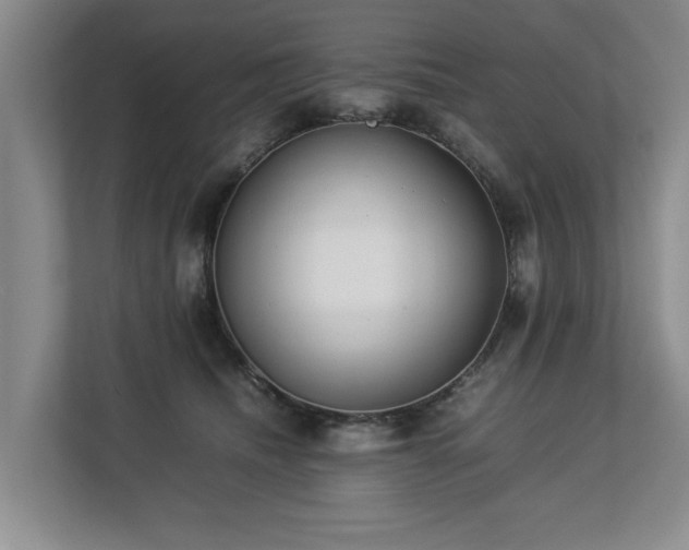 X0000112790468200908211117