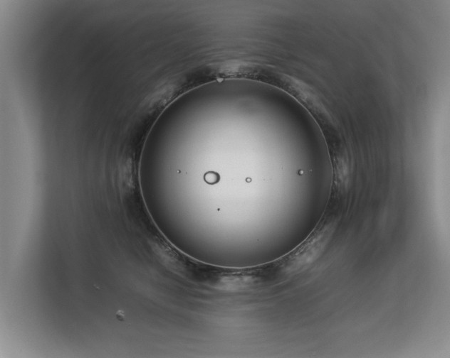 X0000112790470200908211117