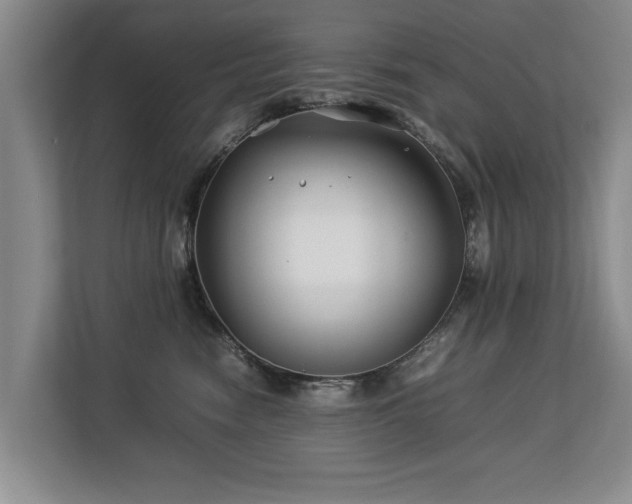 X0000112790474200908211117