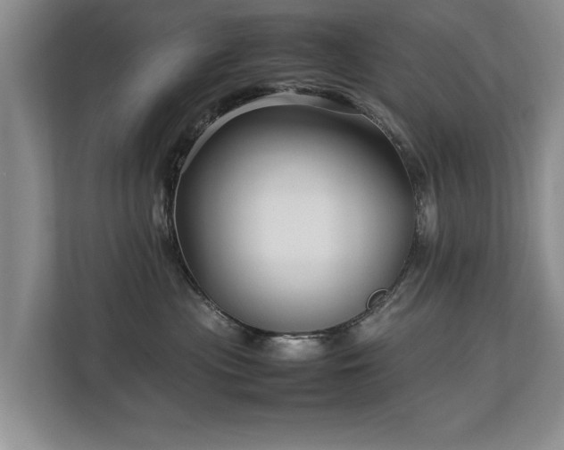 X0000112790477200908211117