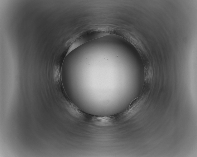 X0000112790478200908211117