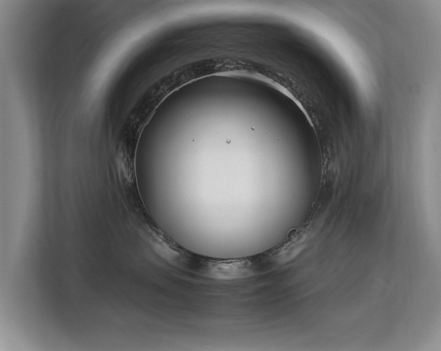 X0000112790479200908211117