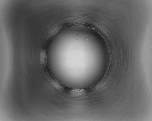 X0000112790480200908211117