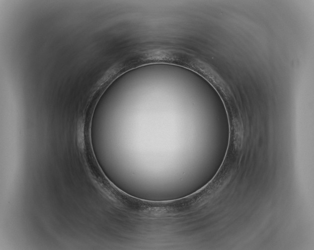 X0000112790482200908211116