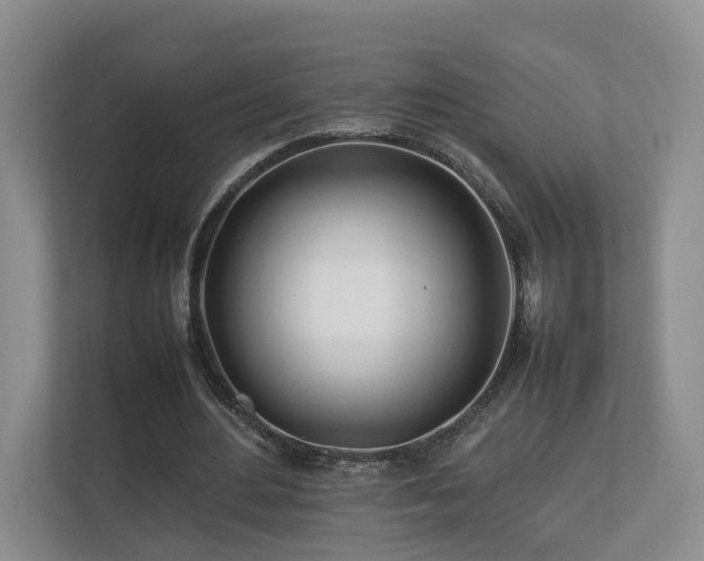 X0000112790484200908211116