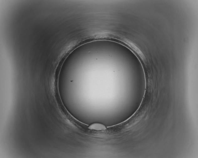 X0000112790485200908211116