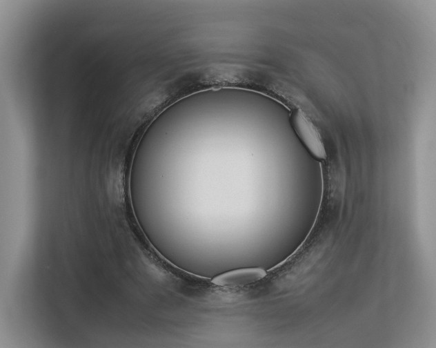 X0000112790489200908211116