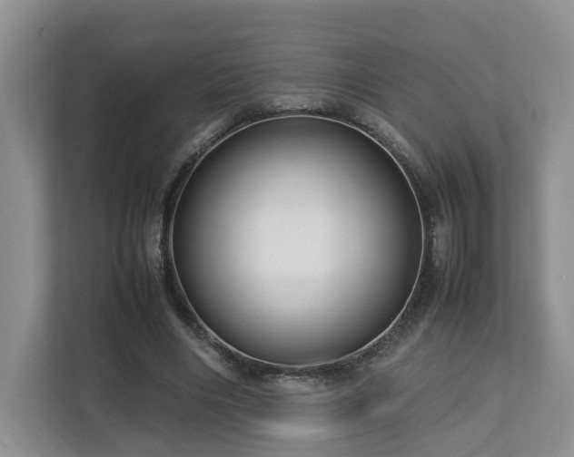 X0000112790490200908211116