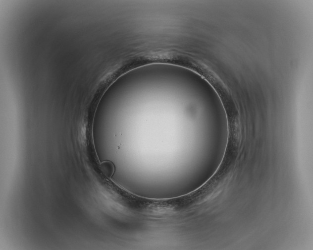 X0000112790491200908211116