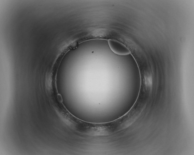 X0000112790492200908211116