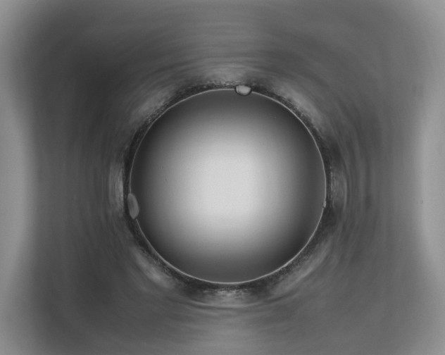 X0000112790493200908211116