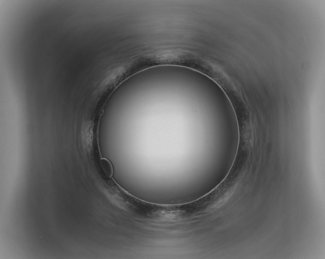 X0000112790495200908211116