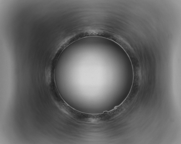 X0000112790496200908211116