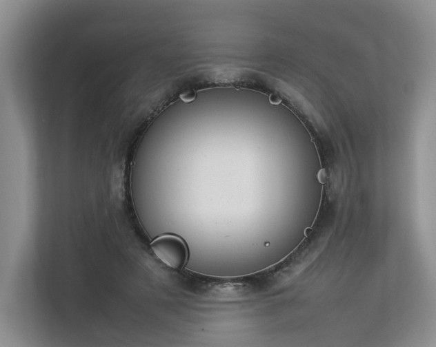 X0000112790497200908211116