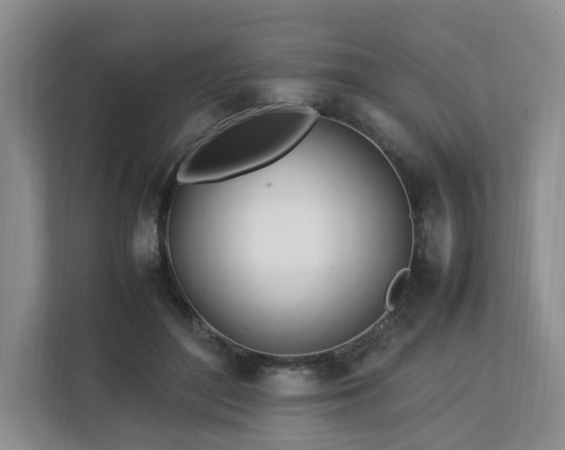 X0000112790500200908211116