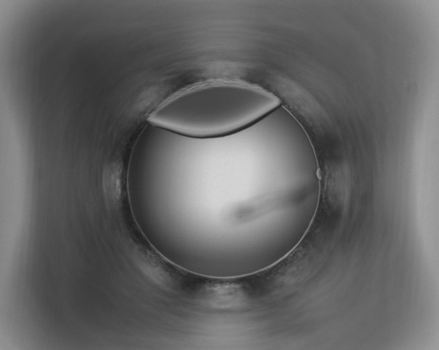 X0000112790501200908211116