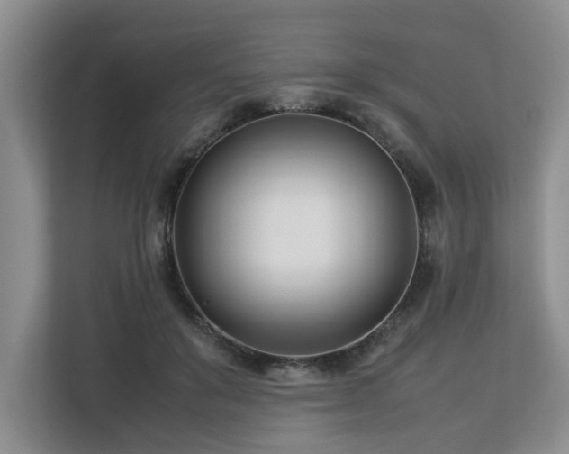 X0000112790503200908211116