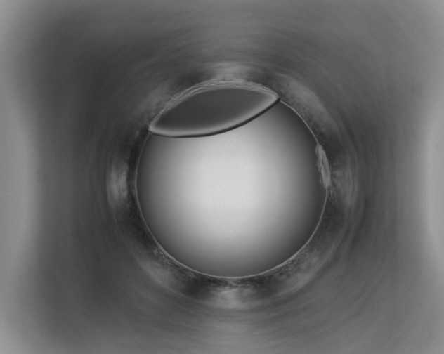 X0000112790504200908211116