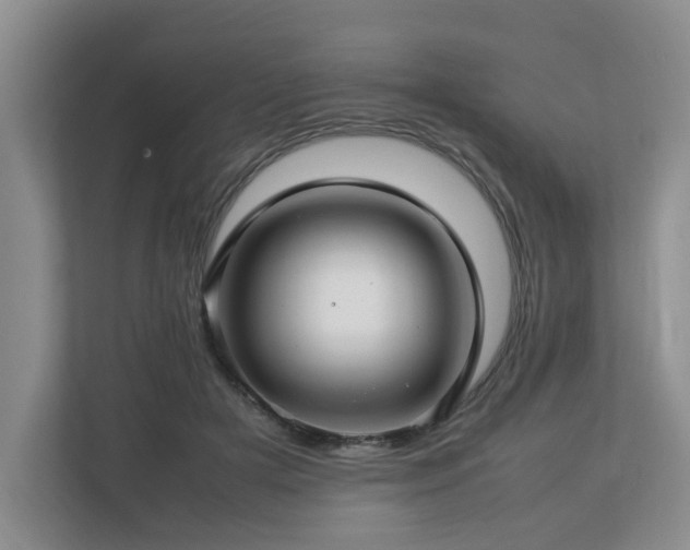 X0000112790505200908211116