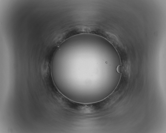 X0000112790511200908211116