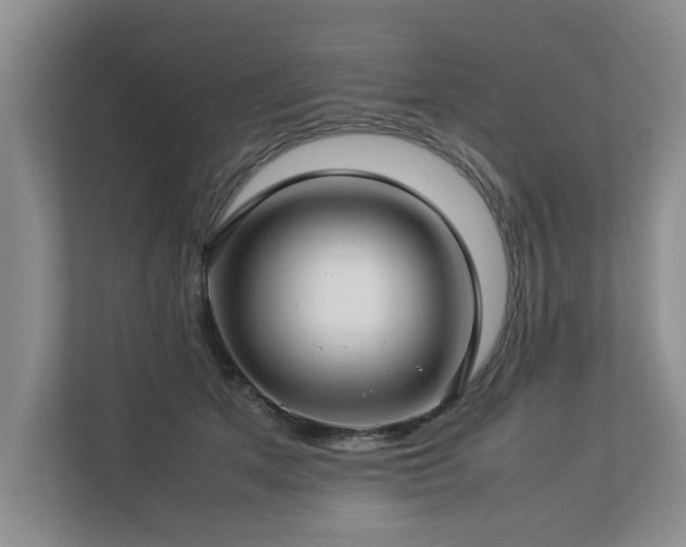 X0000112790513200908211116