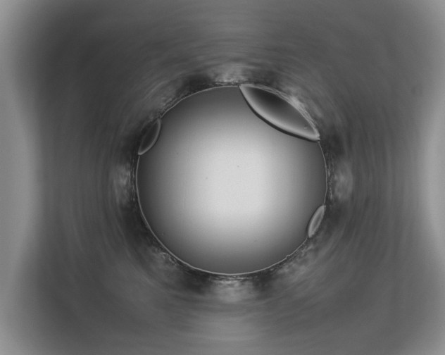 X0000112790521200908211116