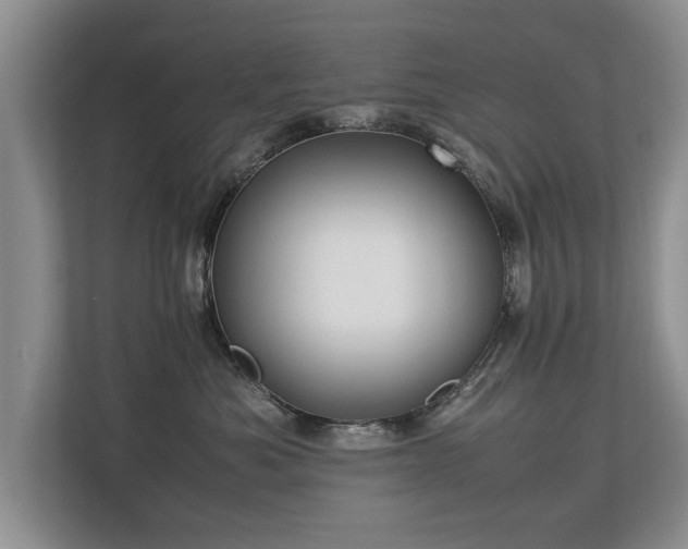 X0000112790525200908211116