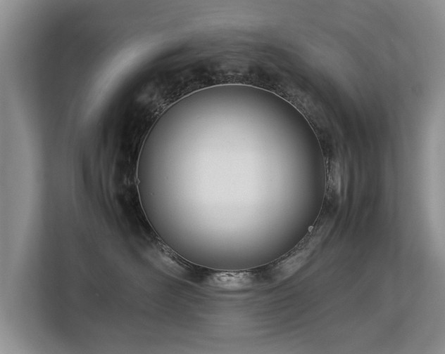 X0000112790526200908211116