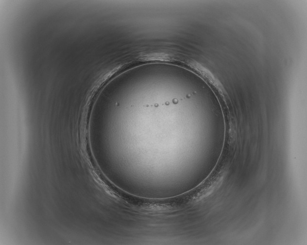 X0000112790529200908211115
