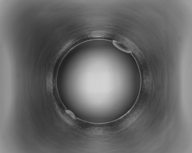 X0000112790530200908211115