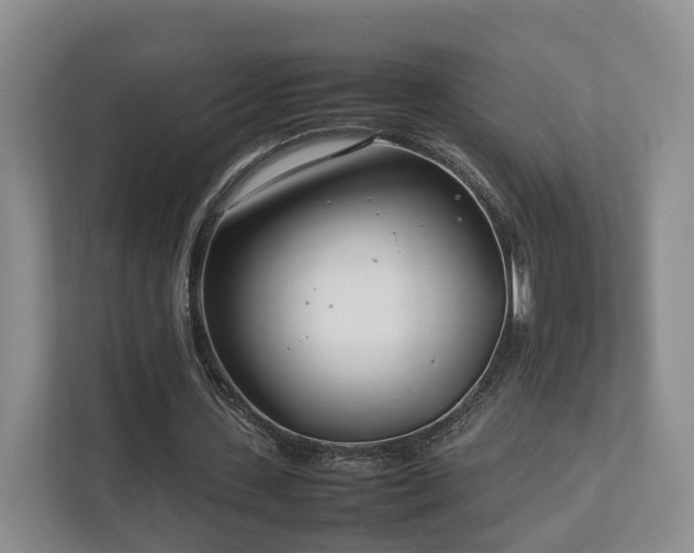 X0000112790531200908211115