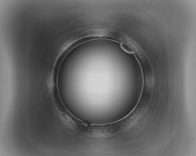 X0000112790532200908211115