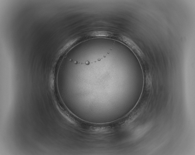 X0000112790533200908211115