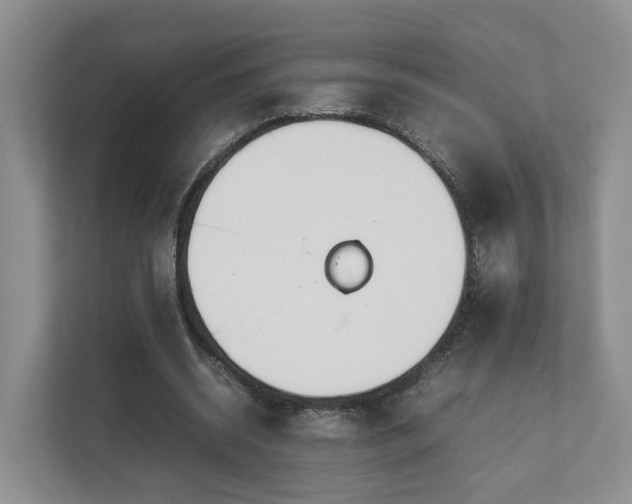 X0000112790534200908211115