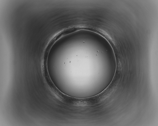X0000112790535200908211115
