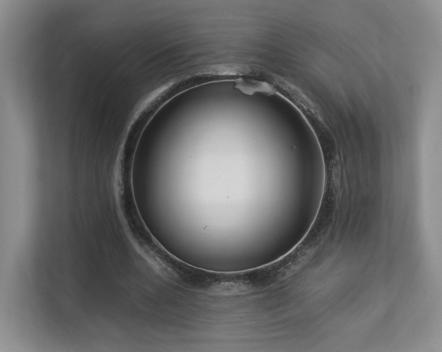 X0000112790536200908211115