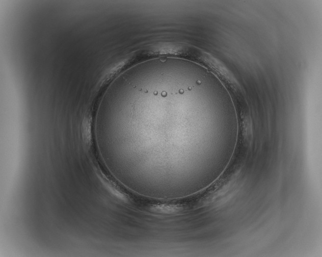 X0000112790537200908211115